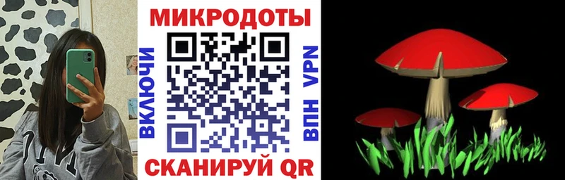 Псилоцибиновые грибы Psilocybe  Юрьев-Польский 